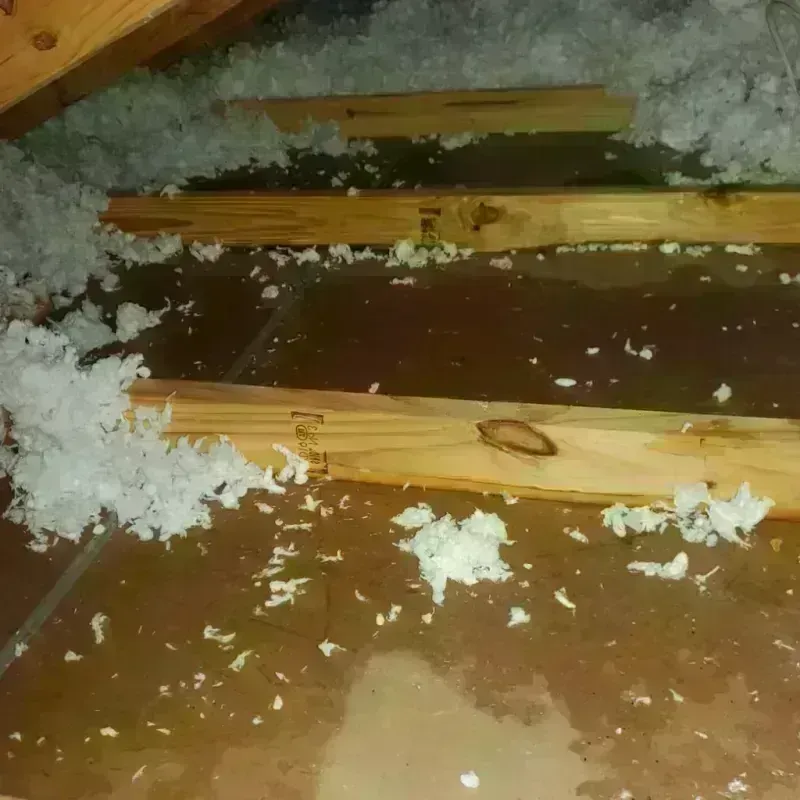 Attic Water Damage in Homestead, PA