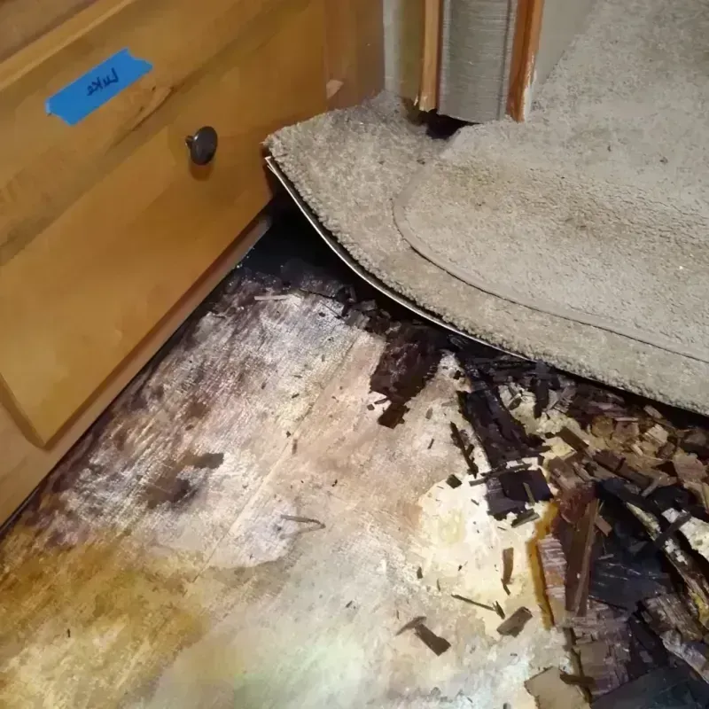 Wood Floor Water Damage in Homestead, PA